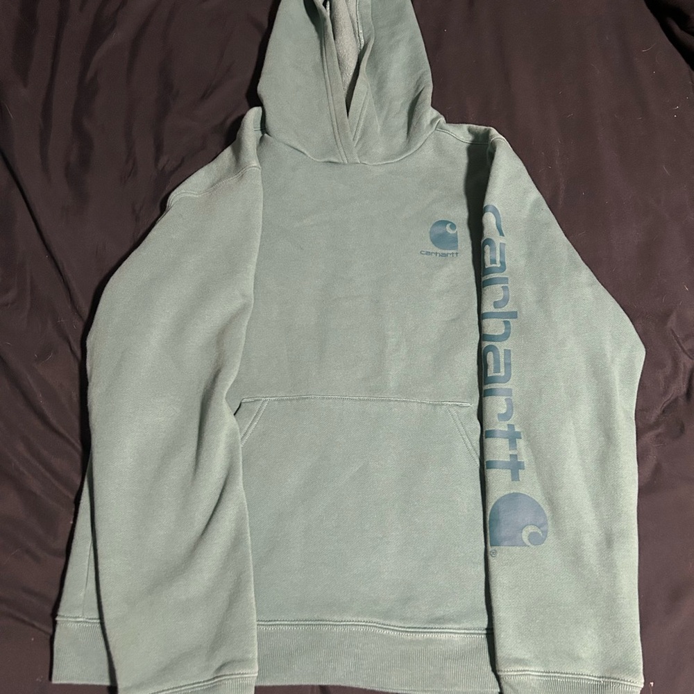 Carhartt Men's Sage Green Hoodie